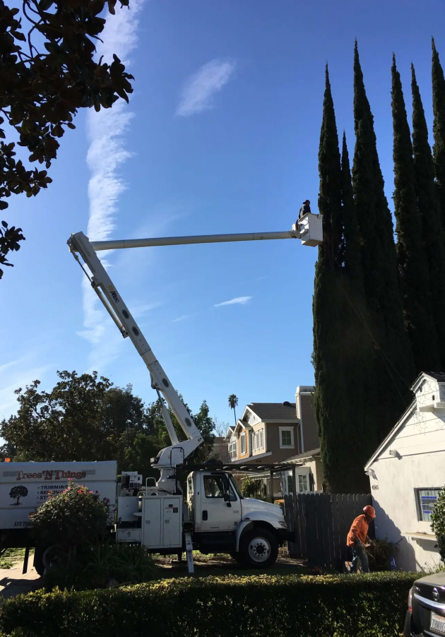 Tree Trimming Valley Village, CA