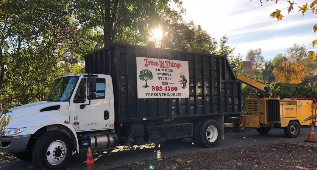 Tree Service Winnetka, CA