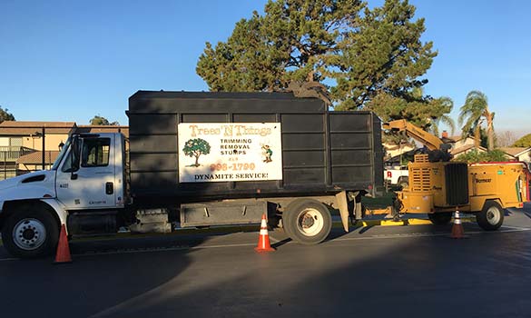 TREES N THING COMPANY CAR